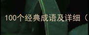 常见成语大全100个经典成语及详细附用法示例