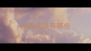 吉凶成语有哪些
