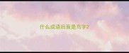 什么成语后面是鸟字