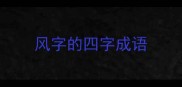 风字的四字成语