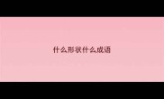 什么形状什么成语
