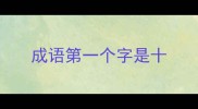 成语第一个字是十