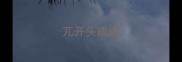 兀开头成语