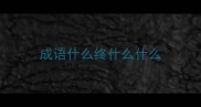 成语什么终什么什么