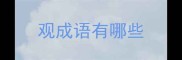 观成语有哪些