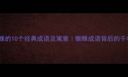 形容蜘蛛的10个经典成语及寓意蜘蛛成语背后的千年智慧