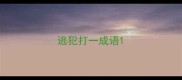 逃犯打一成语
