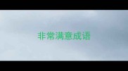 非常满意成语