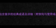 3个包含独字的经典成语及详细附例句与使用场景
