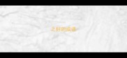 之好的成语