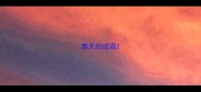 青天的成语