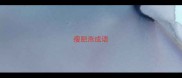 瘦肥燕成语
