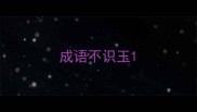 成语不识玉