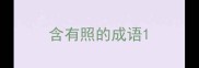 含有照的成语