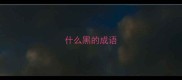 什么黑的成语