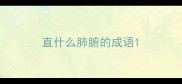 直什么肺腑的成语