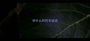 转什么转四字成语