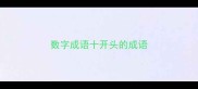 数字成语十开头的成语