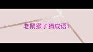 老鼠猴子猜成语