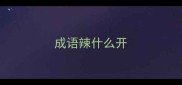 成语辣什么开