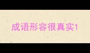 成语形容很真实