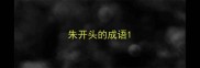 朱开头的成语