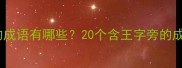带王字旁的成语有哪些20个含王字旁的成语及详细