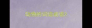 动物的词语成语