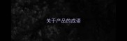 关于产品的成语