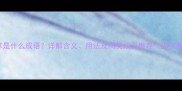 毛毛草草是什么成语详解含义用法及同类成语推荐附权威出处