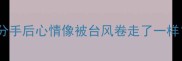 被分手后心情像被台风卷走了一样