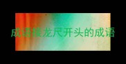 成语接龙尺开头的成语