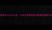 四字成语什么什么头全从鸡头凤尾到龙头蛇尾的趣味记忆法