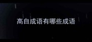 高自成语有哪些成语