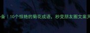 秋日必备10个惊艳的菊花成语秒变朋友圈文案天花板
