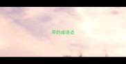 带的成语适