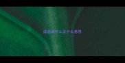 成语南什么及什么意思