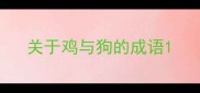 关于鸡与狗的成语