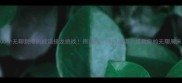 100个无聊到爆的成语接龙挑战用这些冷门成语拯救你的无聊周末