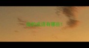 谐的成语有哪些