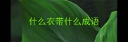 什么衣带什么成语