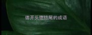 德开头德结尾的成语