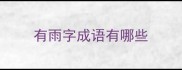 有雨字成语有哪些