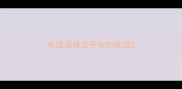 毛成语接龙开头的成语