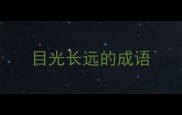 目光长远的成语