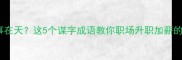 谋事在人成事在天这5个谋字成语教你职场升职加薪的秘诀