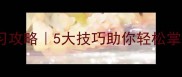 成语接龙高效学习攻略5大技巧助你轻松掌握来者不拒