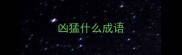 凶猛什么成语