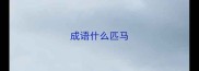 成语什么匹马