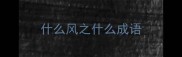 什么风之什么成语
